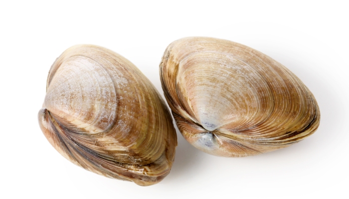 The Much Maligned Clam Shell Blister Pack