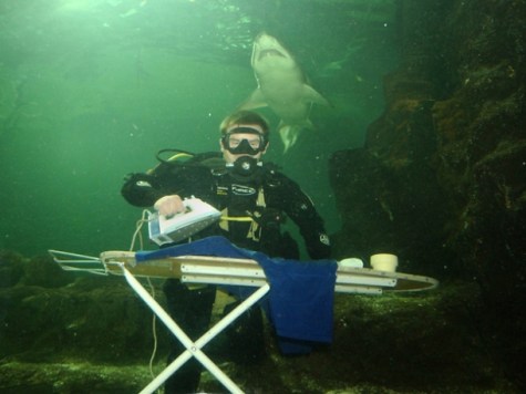 www.harrogateironing.co_.uk-Extreme-ironing-underwater-with-Shark